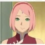 bibi sakura