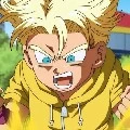 Trunks