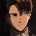 Levi