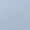 All