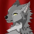 Lobo