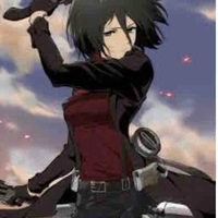 Mikasa 