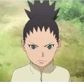 shikadai