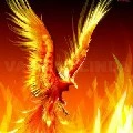 Phoe (Phoenix fire)