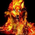 Fire (ratu serigala)