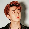 SEHUN(kakak lisa)