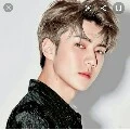 sehun (tangan kanan lisa )