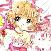 Sakura minha mais nova de Sarita
