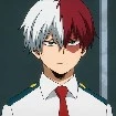 Shoto Todoruki