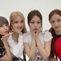 blackpink