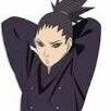 shikadai