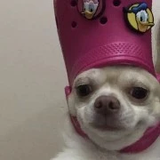 autora