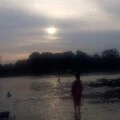 arthor