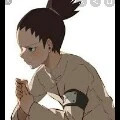 Shikadai