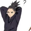 shikadai