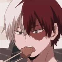 Shoto Todoroki
