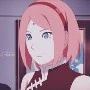 sakura