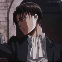 Levi✨