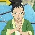 Shikadai Nara