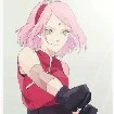 Sakura
