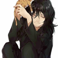 Mr aizawa