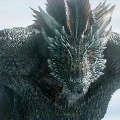 Rex
