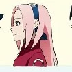 sakura