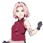 sakura