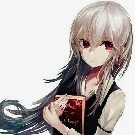 srt.Meiko