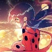 Ladybug