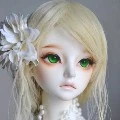 Lily