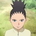 Shikadai