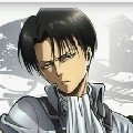 Levi