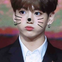 Jeon Jungkook/jk/ cookie