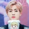 jin