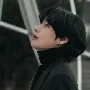 Kim taehyung (V)