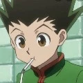 gon freecss