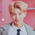 Kim Namjoon/RM