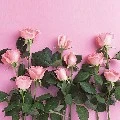 All