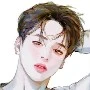 JIMIN