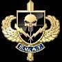 SWAT 2