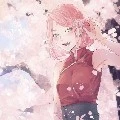 Sakura Haruno