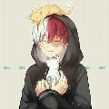 Todoroki