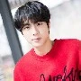 Jin