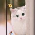 อิมเอง