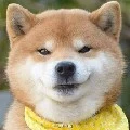 haru