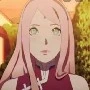 Sakura