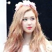 rose(sahabat y/n)