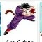 gohan