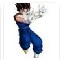vegetto